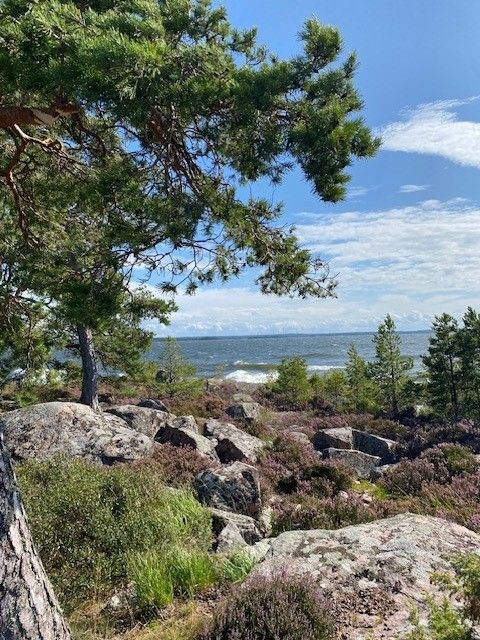 Sibber&ouml;n